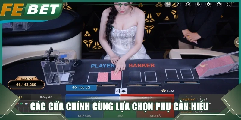 Các cửa chính cùng lựa chọn phụ cần hiểu 
