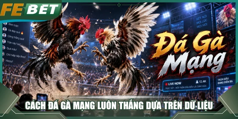 Cách đá gà mạng luôn thắng dựa trên dữ liệu