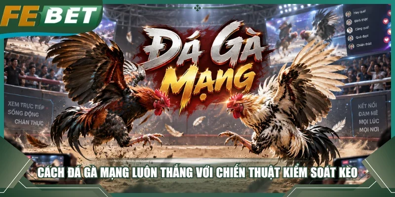 Cách Đá Gà Mạng Luôn Thắng