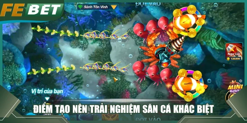 Điểm tạo nên trải nghiệm săn cá khác biệt rõ nét