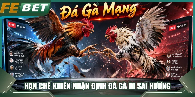 Hạn chế khiến nhận định đá gà đi sai hướng
