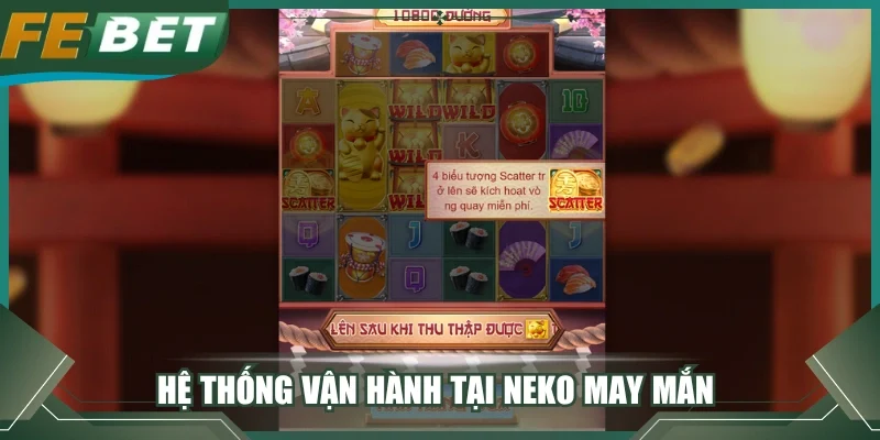 Hệ thống vận hành tại Neko may mắn
