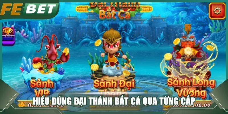 Hiểu đúng đại thánh bắt cá qua từng cấp