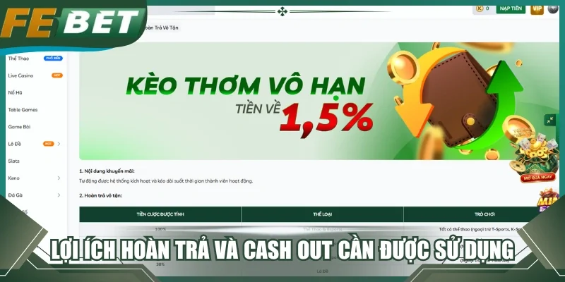 Lợi ích hoàn trả và cash out cần được sử dụng