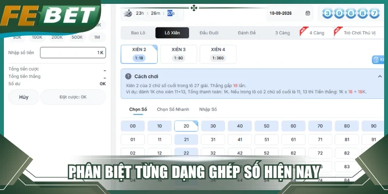 Phân biệt từng dạng ghép số hiện nay