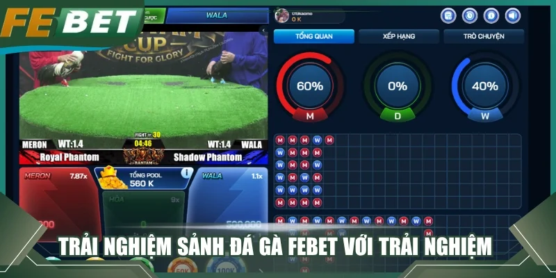 Trải nghiệm sảnh đá gà FEBET với trải nghiệm 